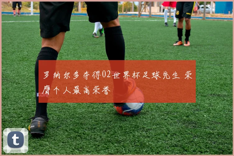 罗纳尔多夺得02世界杯足球先生 荣膺个人最高荣誉